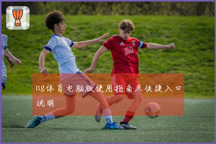 ng体育电脑版使用指南及快捷入口说明