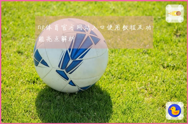ng体育官方网站入口使用教程及功能亮点解析