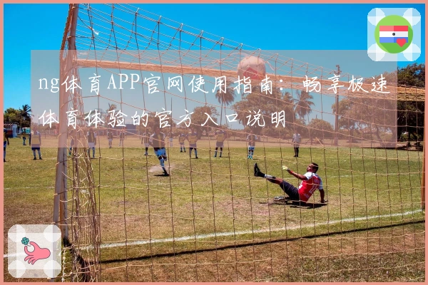 ng体育APP官网使用指南：畅享极速体育体验的官方入口说明